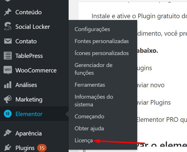 Elementor PRO download - Como fazer o download da do elementor 4 Elementor PRO download - Como fazer o download da do elementor 3